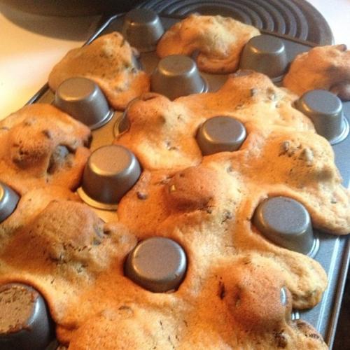 Obrázek č. 1013097